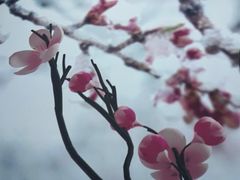 -润苑·悦椿轩(徐汇万科中心一期店)