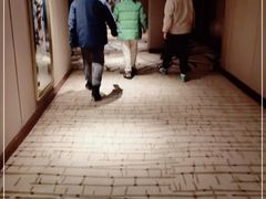 -长白山万达喜来登度假酒店