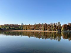 -狮龙啤酒烧烤屋(建二路店)