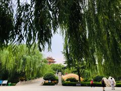 -鹊华居·地道鲁菜·海鲜·融合味(大明湖店)