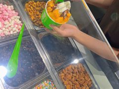 -Salud撒露欧洲冻酸奶(蓝色港湾店)