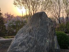 -永定河休闲森林公园