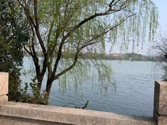-无锡蠡湖国家湿地公园-蠡园