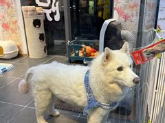 -萌兽医馆·眼科·异宠专科(三里屯店)