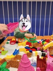 -酷乐思儿童主题乐园(海印又一城奥特莱斯广场店)