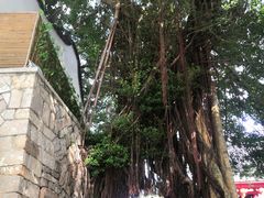 -乌山风景区