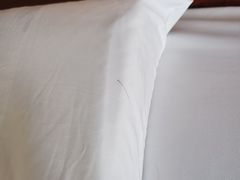 -上海明天广场JW万豪酒店