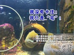 -顺德南宏海立方海洋公园
