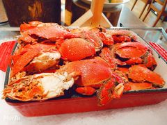 -视界美食自助餐厅·石家庄希尔顿酒店