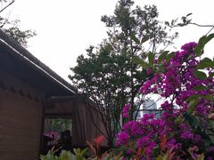 -二荆条·蜀鲜汇城市森林火锅