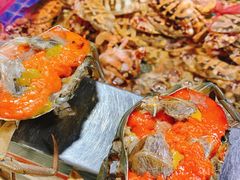 -三亚新鸿港水果一级批发市场