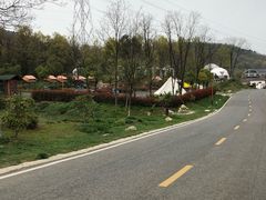 -汤山温泉房车营地 茶温泉