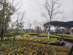 -季高兔窝窝亲子园(上海薰衣草公园店)