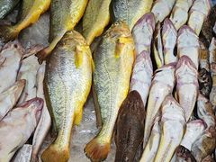 -鑫渔港海鲜本地菜·山海关浑锅(东戴河店)