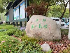-合肥滨湖国家森林公园