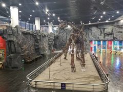 -吉林省自然博物馆