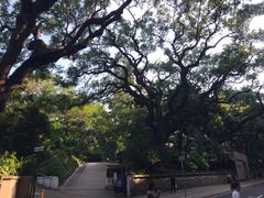 -九龙公园