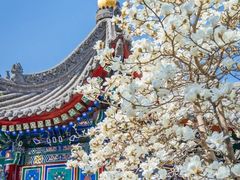 -西安市广仁寺