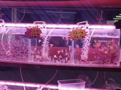 -中环花鸟鱼虫市场