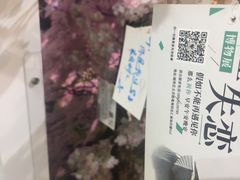 -上海外滩星空失恋减压馆(外滩旗舰馆)