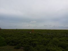 -北海金海湾红树林生态旅游区