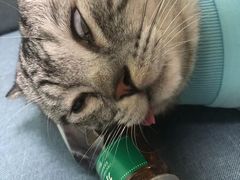 -酷宠动物医院(天通西苑店)