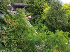 -十渡高山漂流