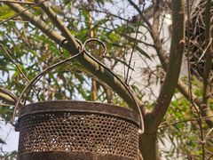 -Metal hands·铁手咖啡