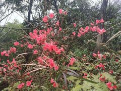 -金堂县云顶石城风景区