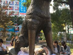 -涩谷全向十字路口