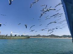 -海驴岛(荣成市)