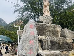 -大岭沟猕猴桃谷风景区