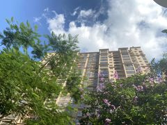 -热带雨林汗蒸馆(汶水东路店)