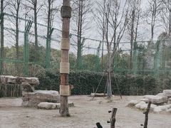 -上海野生动物园老虎餐厅