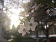 -西安石油大学(雁塔校区)