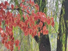 -长春市南湖公园