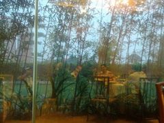 -深圳观澜格兰云天国际酒店