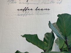-red donkey coffee