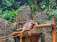 -杭州野生动物世界