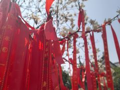 -长春观