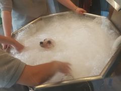 -PETKIT小佩宠物(古北店)