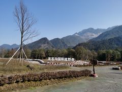 -龙苍沟森林公园