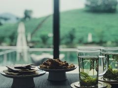 -帐篷客·溪龙茶谷度假酒店