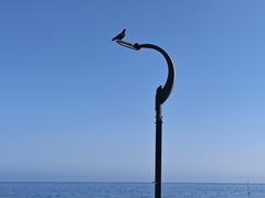 -海云台海滩