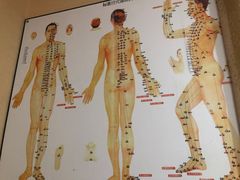 -益友堂盲人推拿正骨穴位按摩工作室