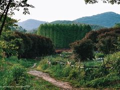 -石塘人家