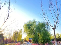 -永定河休闲森林公园