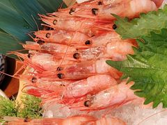 -福樱兰海鲜放题铁板烧(加州店)