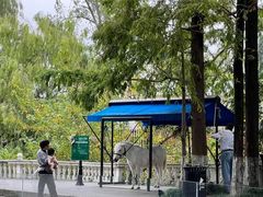 -J Create城市露营咖啡·简餐·宠物(上海动物园店)