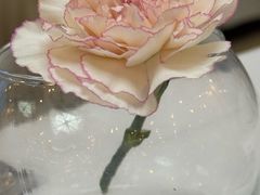 -眉州东坡(亚运村店)